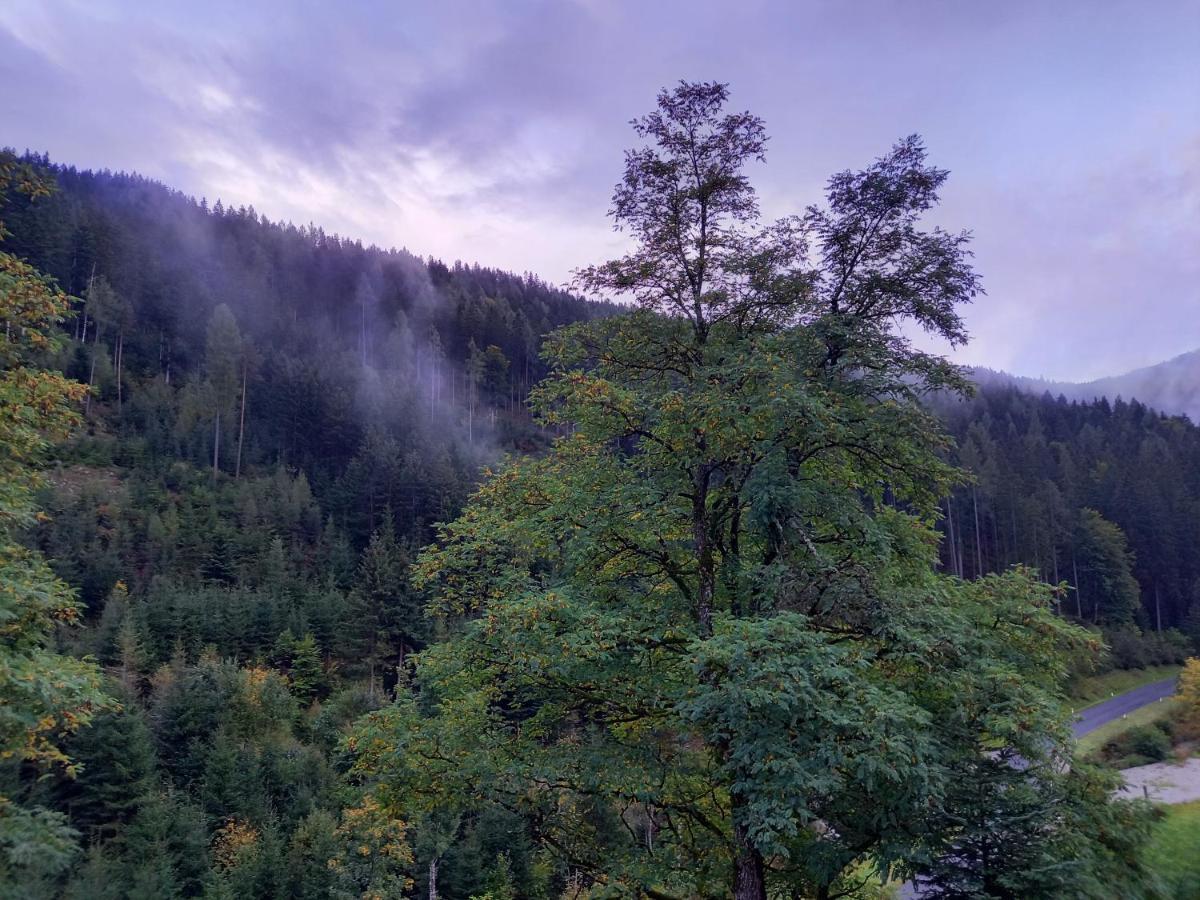 Landhaus Gruenjuwel Himmelberg Exteriör bild