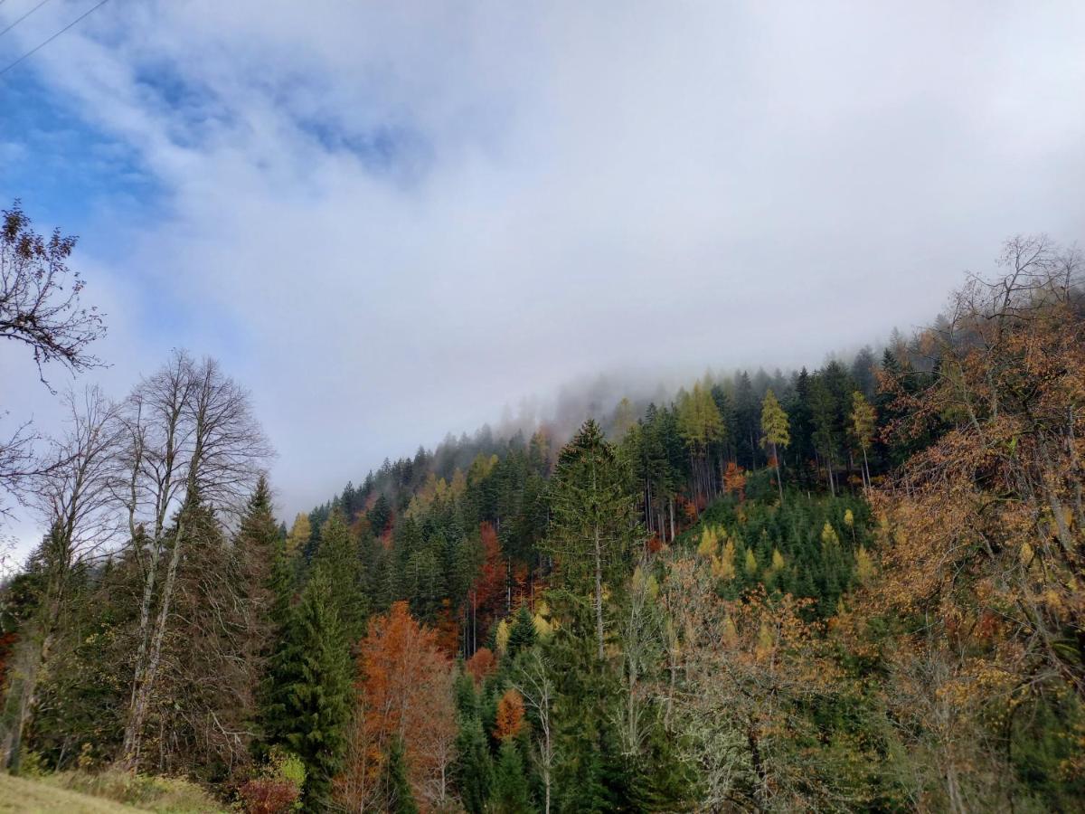 Landhaus Gruenjuwel Himmelberg Exteriör bild