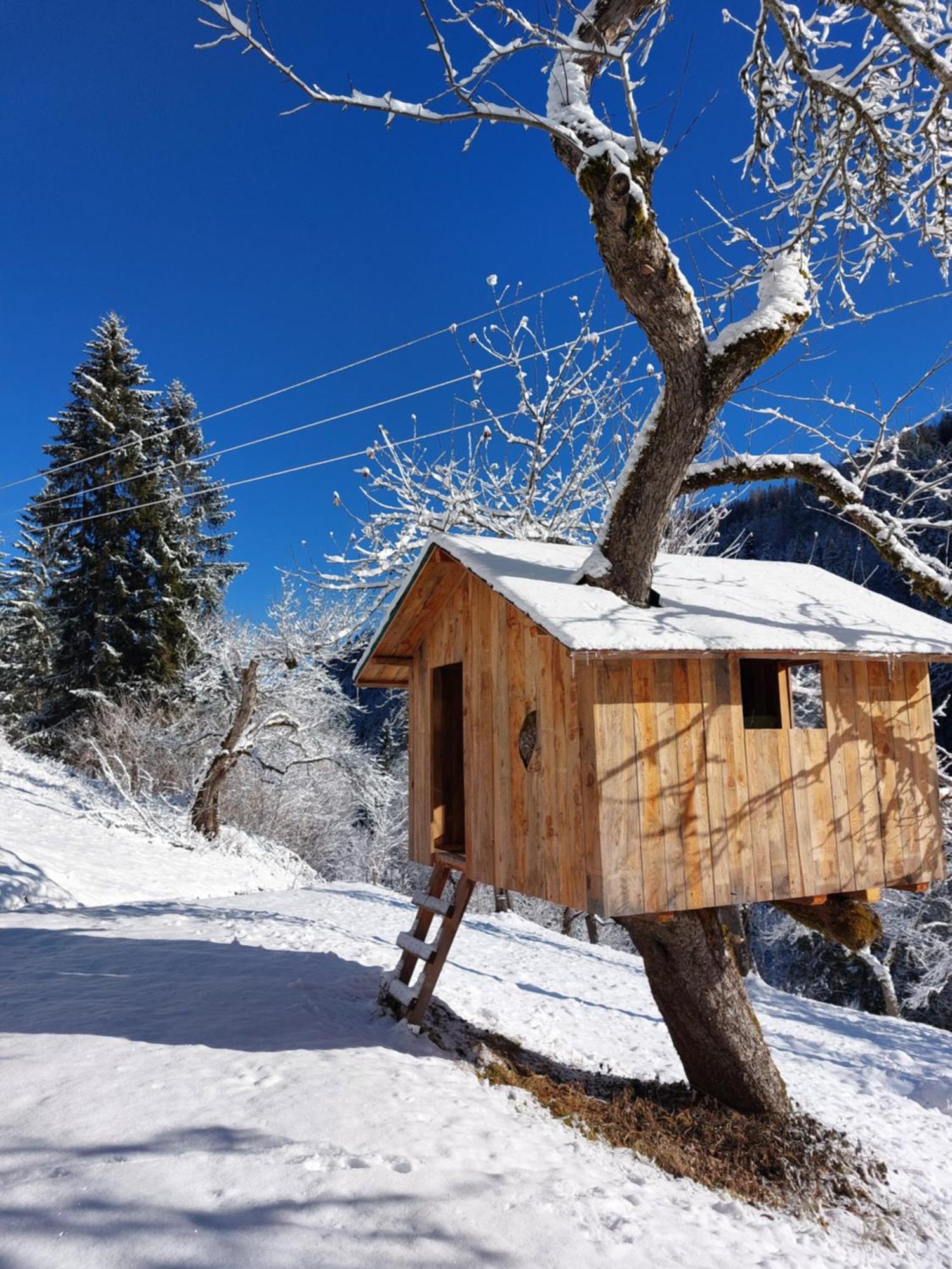 Landhaus Gruenjuwel Himmelberg Exteriör bild