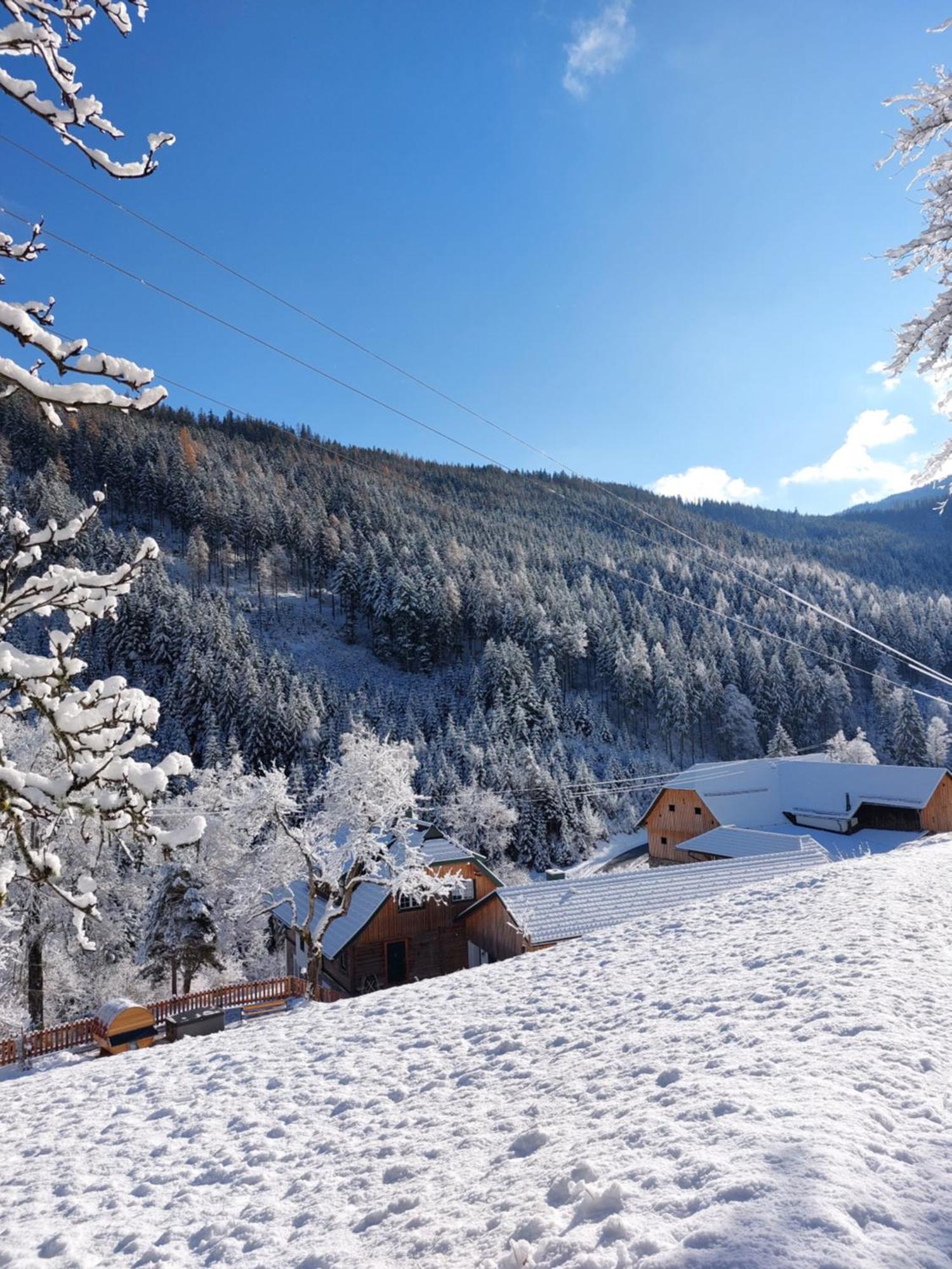 Landhaus Gruenjuwel Himmelberg Exteriör bild