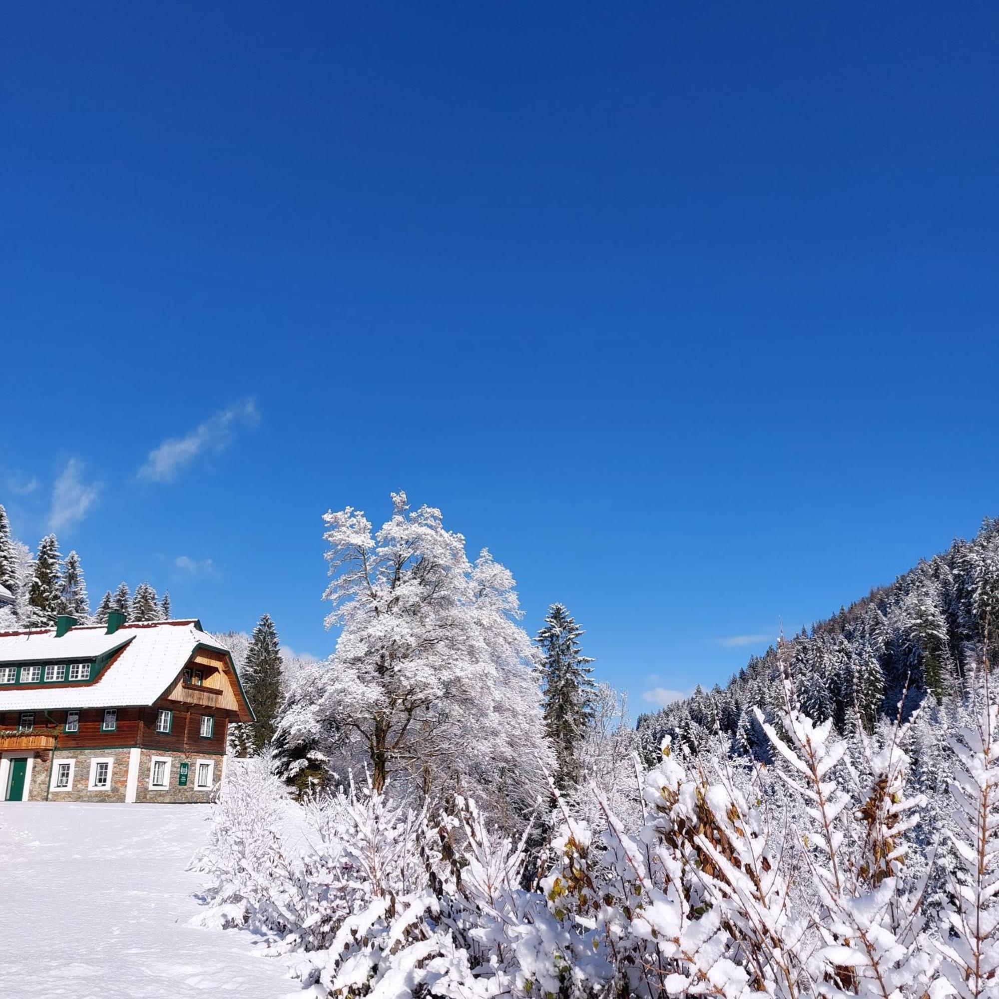 Landhaus Gruenjuwel Himmelberg Exteriör bild